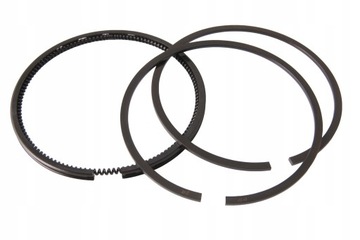 PIERŚCIENIE BRIGGS B&S QUANTUM 68,3 mm 493261