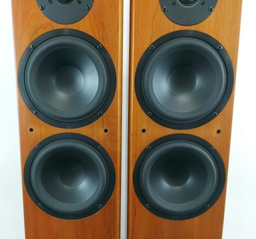 Tannoy Revolution R3 - динамики