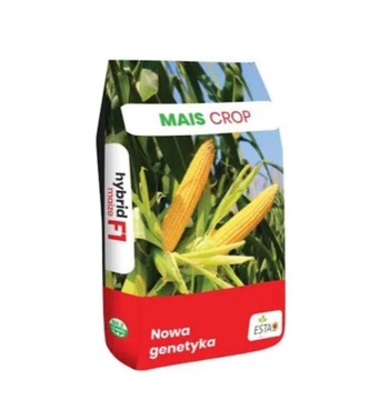 KUKURYDZA RYWAL 50 000 TYSIĘCY NASION FAO 210 MAIS CROP