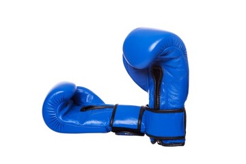 ПРОФЕССИОНАЛЬНЫЕ БОКСЕРСКИЕ ПЕРЧАТКИ EVOLUTION PRO 16