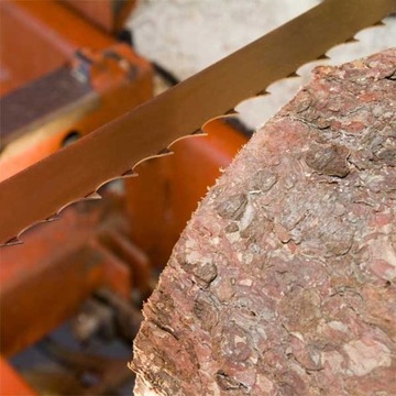 Piła Taśmowa Barakuda Q /Hors/ 4005X35X1,1/22 Do Cięcia Drewna Świeżego