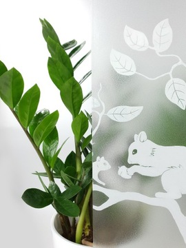 Оконная статическая фольга с рисунком белки