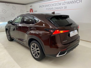 Lexus NX I SUV 300h 197KM 2017 Lexus NX, zdjęcie 7