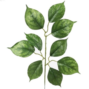 LIPA LIŚĆ GAŁĄZKA SZTUCZNE LIŚCIE DO BUKIETÓW WIĄZANEK Zielony