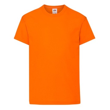 DZIECIĘCA KOSZULKA T-SHIRT FRUIT FC orange 164
