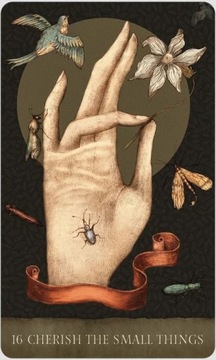 Dream Song Oracle Cards, instr.PL