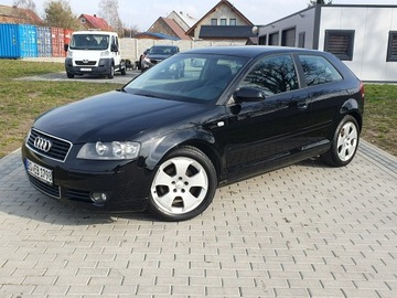 Audi A3 8P Hatchback 3d 2.0 TDI PD 140KM 2004 Audi A3 2.0tdi 140KM Skóra Klima Alu17 Raty, zdjęcie 27