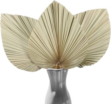 Suszone Liście Palmowe Dekoracja Domu w Stylu Boho