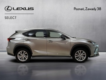 Lexus NX I SUV Facelifting 300h 197KM 2021 Lexus NX 300h F Impression AWD I (2014-2021) 300h, zdjęcie 5