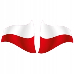 NAKLEJKA FLAGA POLSKI TIR 2 szt. FAL PK