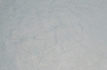 Коврик с войлочными континентами Карта мира Монтессори