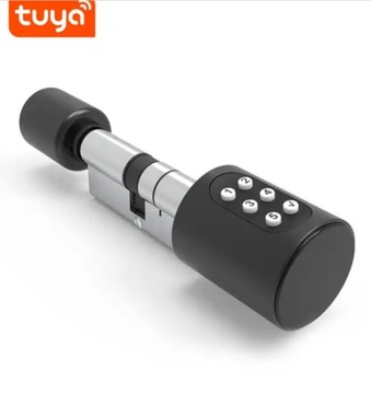 WKŁADKA DO ZAMKA UCHWYT KLAMKA CYLINDRYCZNA PIN BLUETOOTH TUYA PL 80MM