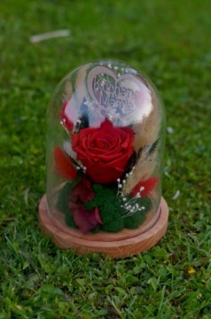 Настоящая вечная роза в стекле У НАС ЕСТЬ ПОДАРОК.