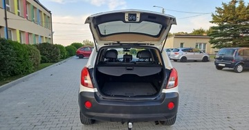 Opel Antara SUV Facelifting 2.2 CDTI ECOTEC 163KM 2011 Opel Antara Opel Antara 2.2 CDTI Cosmo, zdjęcie 17