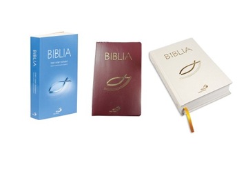 Обложка, футляр для Библии Holy Edition. Пол с рыбкой 19,5х12,5.