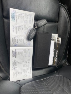 Opel 2018 Opel Grandland LEDY AUTOMAT KAMERA NAWIGACJA SKORY GRZANE FOTELE ELETR. KL, zdjęcie 22