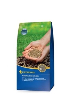 Nasiona traw KIEPENKERL regeneracyjny 0,25kg