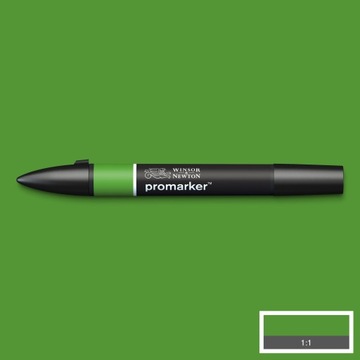 WINSOR & NEWTON PROMARKER FOREST GREEN G356