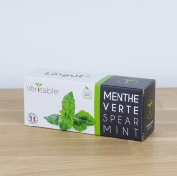 Вставка для семян Lingot с семенами мяты Véritable