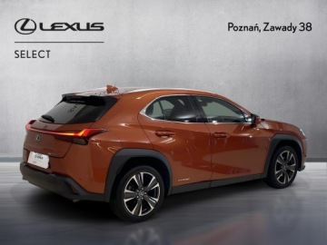 Lexus UX 2019 Lexus UX 250h Prestige 2WD Lexus UX 250h Prestige+, zdjęcie 1