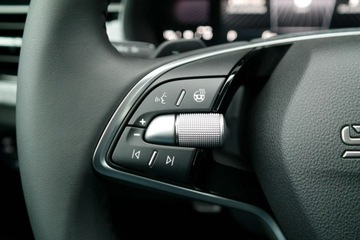 Skoda Kamiq Crossover Facelifting 1.0 TSI 95KM 2025 Škoda Kamiq Skoda Kamiq Edition130 1.0 TSI 95KM -, zdjęcie 12