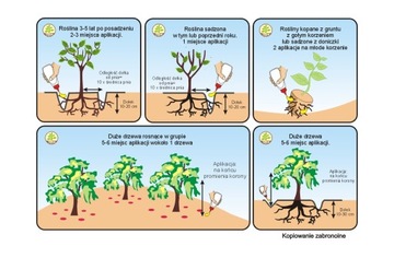 МИКОРБИЯ ДЛЯ ХВОЙНЫХ, микориза