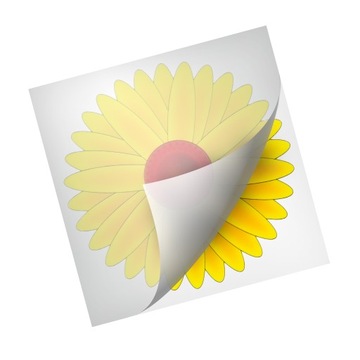 LEP NA MUCHY NA OKNO PUŁAPKA LEPOWA NA MUCHY MUSZKI OWOCÓWKI NO PEST 4 SZT