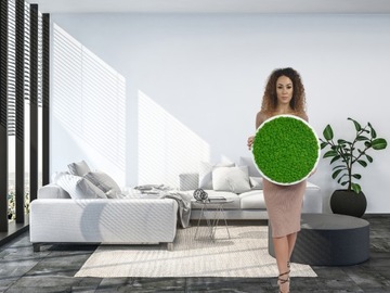 ОЧИЩЕННЫЙ Крабовый Мосс 500г Финский олений мох высшего качества + БЕСПЛАТНО