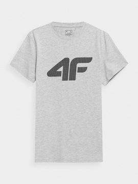 4F ZESTAW MĘSKI T-SHIRT SPODENKI KOMPLET