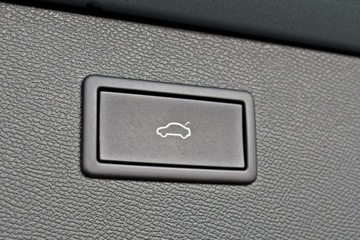 Cupra Formentor Crossover 2.5 TSI 390KM 2024 Cupra Formentor Bezwypadkowy / Salon Polska /, zdjęcie 33