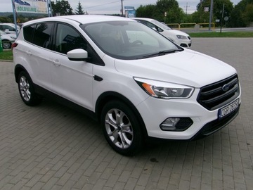 Ford Kuga III 2019 Ford Escape Kuga 1.5 benzyna Automat, zdjęcie 1