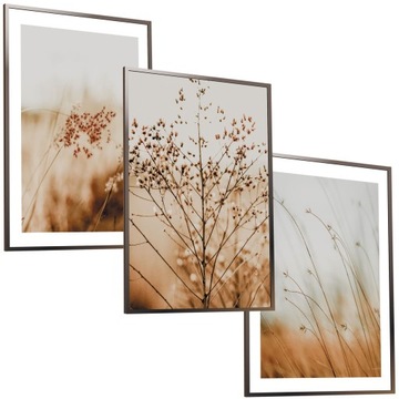30x40 ZESTAW OBRAZY W RAMIE PLAKATY RAMKA TRAWA PAMPASOWA NATURA BOHO
