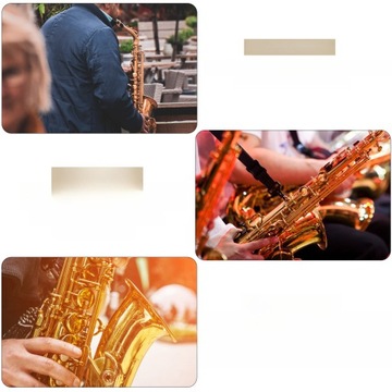 НАБОРЫ БЛЕСКОВ ДЛЯ ГУБ SAKSO TRIMER АКСЕССУАРЫ ДЕРЕВЯННЫЙ Кларнет