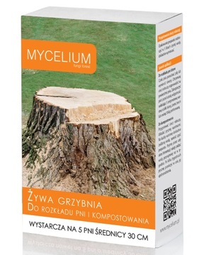 Grzybnia do rozkładu pni i korzeni drzew Mycelium