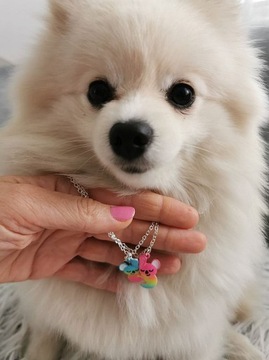 NASZYJNIK BEST FRIENDS MISIE KOALA MAGNES CLOSE