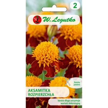 Aksamitka rozpierzchła - Orange Flame Legutko 1g