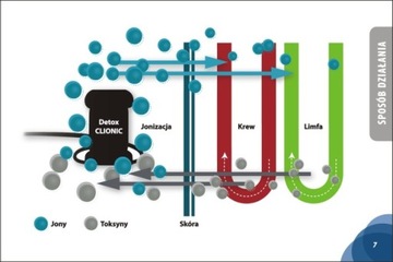 Детокс тела Очищение тела Чаша для очищения тела Gateway Detox