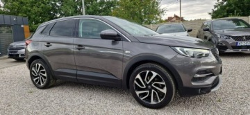 Opel 2018 Opel Grandland X Jeden Właściciel Super Stan, zdjęcie 14