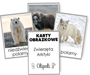 KARTY OBRAZKOWE zwierzęta Arktyki Montessori 7x10cm REALNE ZDJĘCIA 16 kart