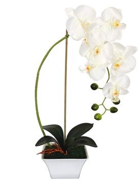 STORCZYK SZTUCZNY STORCZYKI Kwiat ORCHIDEA KWIATY