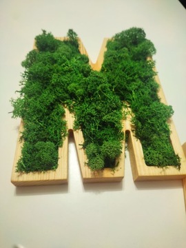 Любые буквы из мха высотой 23 см, буква