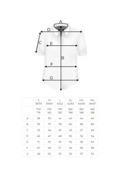 Koszula Męska Elegancka do pracy z lamówką N238
