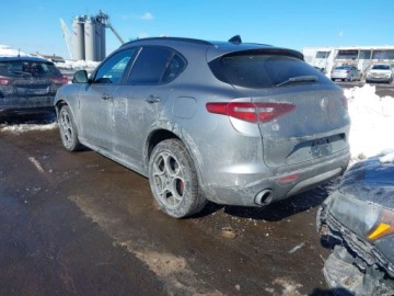 Alfa Romeo Stelvio SUV 2.0 Turbo 280KM 2019 Alfa Romeo Stelvio 2019 ALFA ROMEO STELVIO SPORT AWD 2.0 Benzyna 280KM, zdjęcie 2