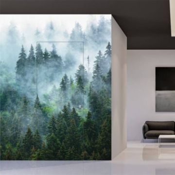 ДВЕРЬ + СКРЫТАЯ РАМКА Sara Цвет P 80 снаружи