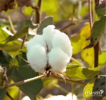 Гигиенические прокладки Masmi SOFT ультратонкие анатомической формы, 24 шт.