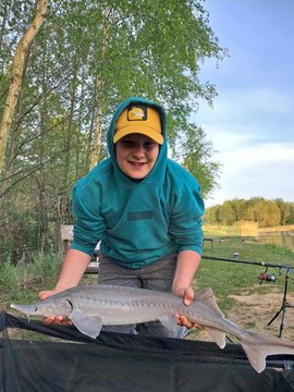 SZPROTKA/HALIBUT 0.5 kg Kulki Proteinowe RaFish 16 - 20 mm 500g zanętowe