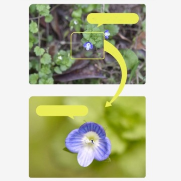 Набор фильтров для крупного плана 4 штуки, +1 +2 +4 +10, аксессуар для макрофильтра 46 мм