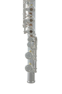 Roy Benson FL-402R C поперечная канавка