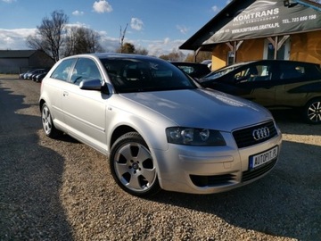 Audi A3 8L Hatchback 1.6 i 102KM 2003 Audi A3 Audi A3 II (8P) 1.6 102KM Mpi, BDB sta...