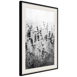 Obrazy w ramie Kwiaty Łąka 40x60 Rama czarna